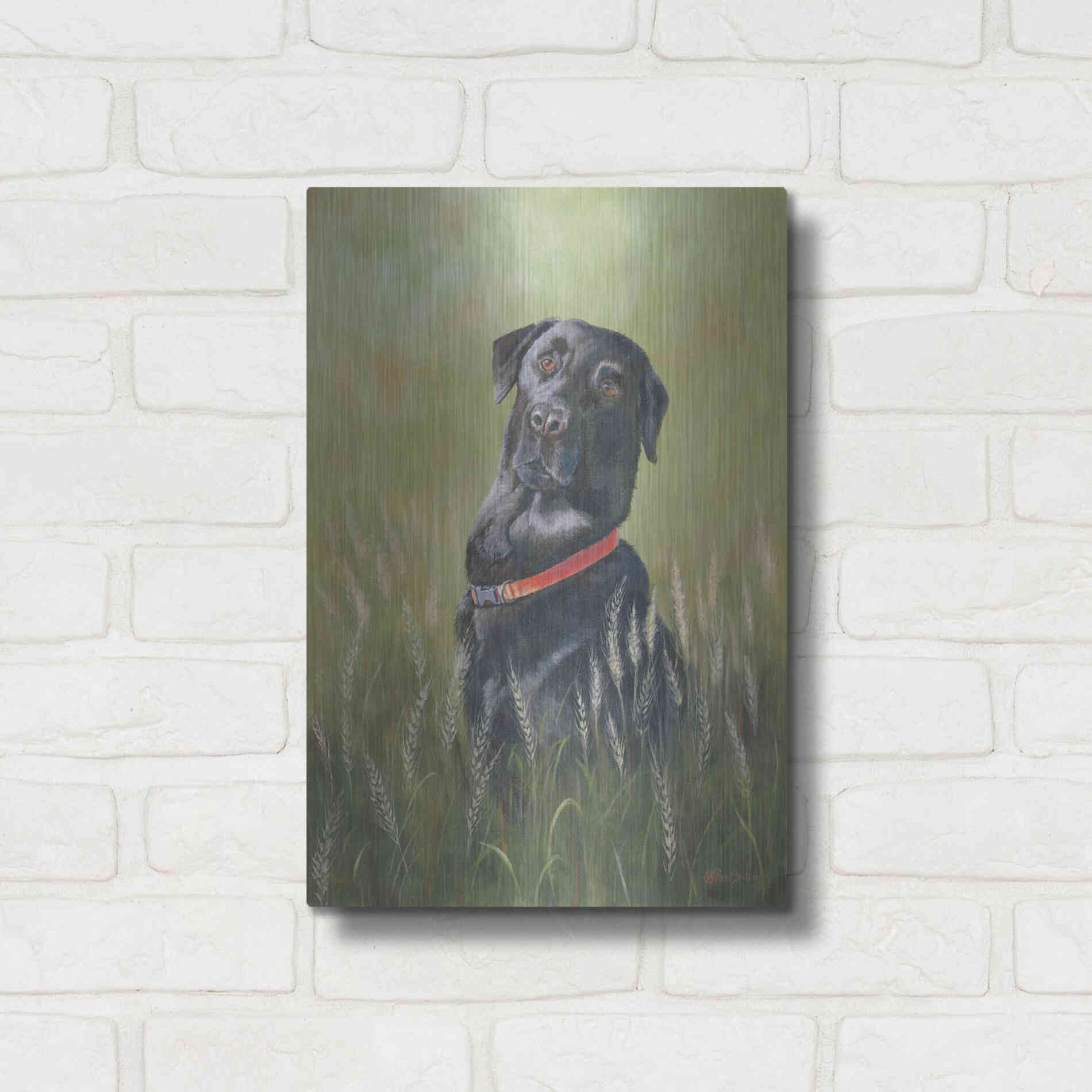 Luxe Metal Art 'Max' by Pam Britton, Metal Wall Art,12x16