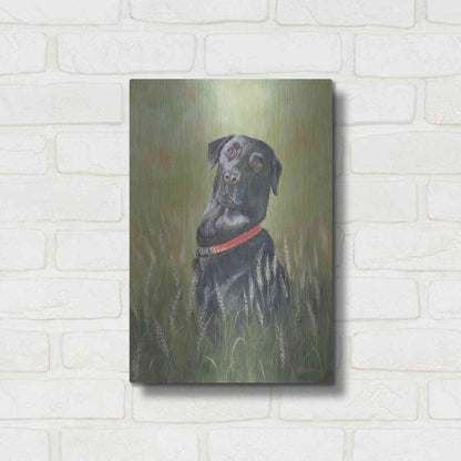 Luxe Metal Art 'Max' by Pam Britton, Metal Wall Art,12x16