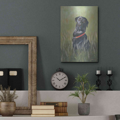 Luxe Metal Art 'Max' by Pam Britton, Metal Wall Art,12x16