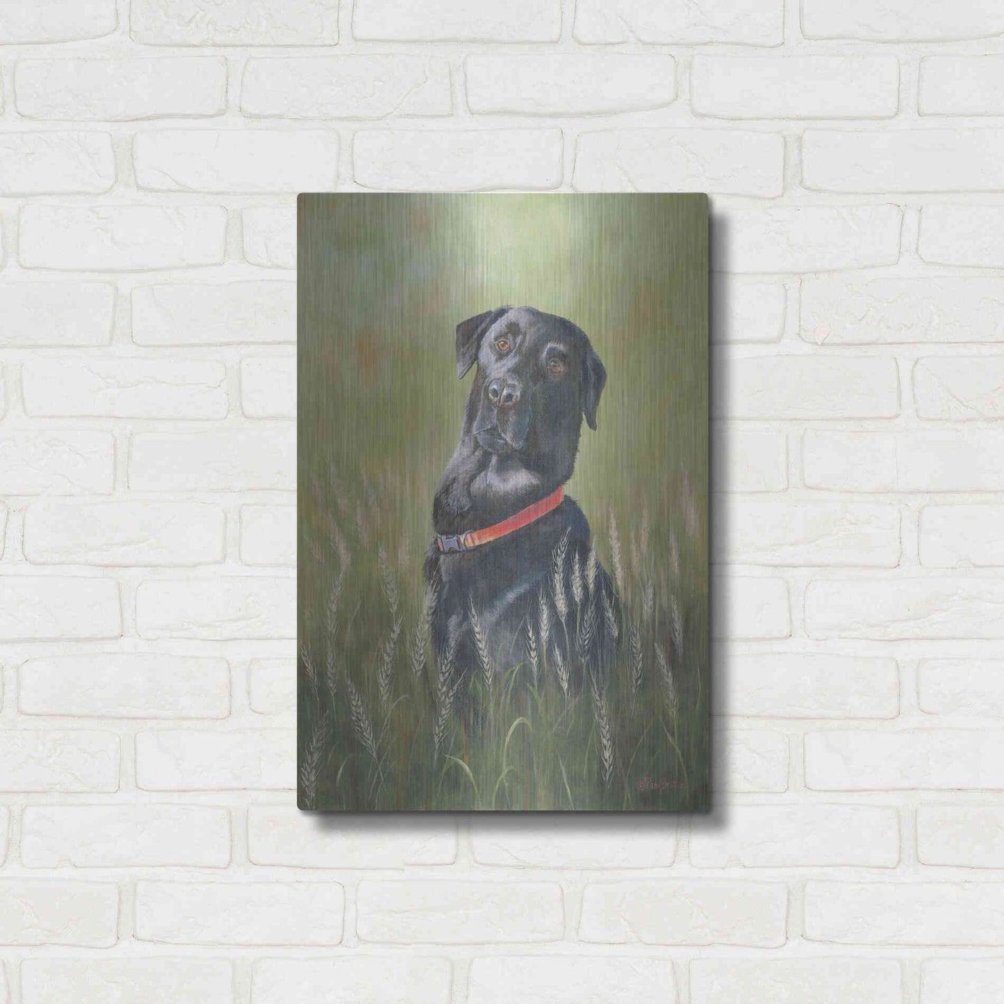 Luxe Metal Art 'Max' by Pam Britton, Metal Wall Art,16x24