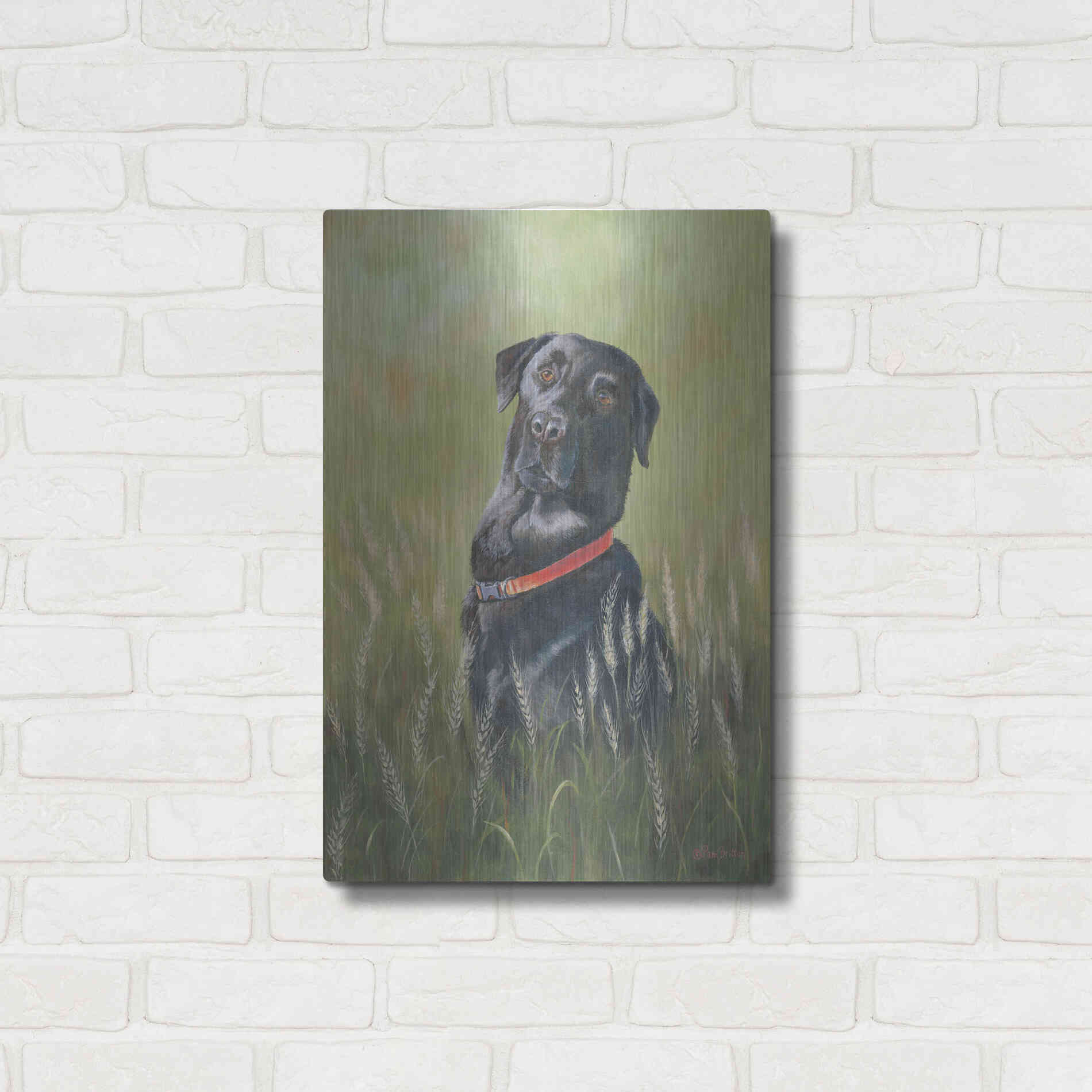 Luxe Metal Art 'Max' by Pam Britton, Metal Wall Art,16x24