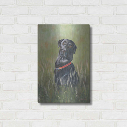 Luxe Metal Art 'Max' by Pam Britton, Metal Wall Art,16x24