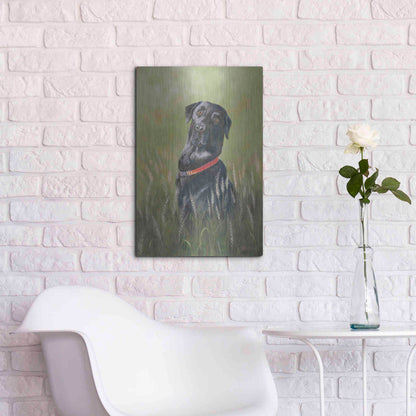 Luxe Metal Art 'Max' by Pam Britton, Metal Wall Art,16x24