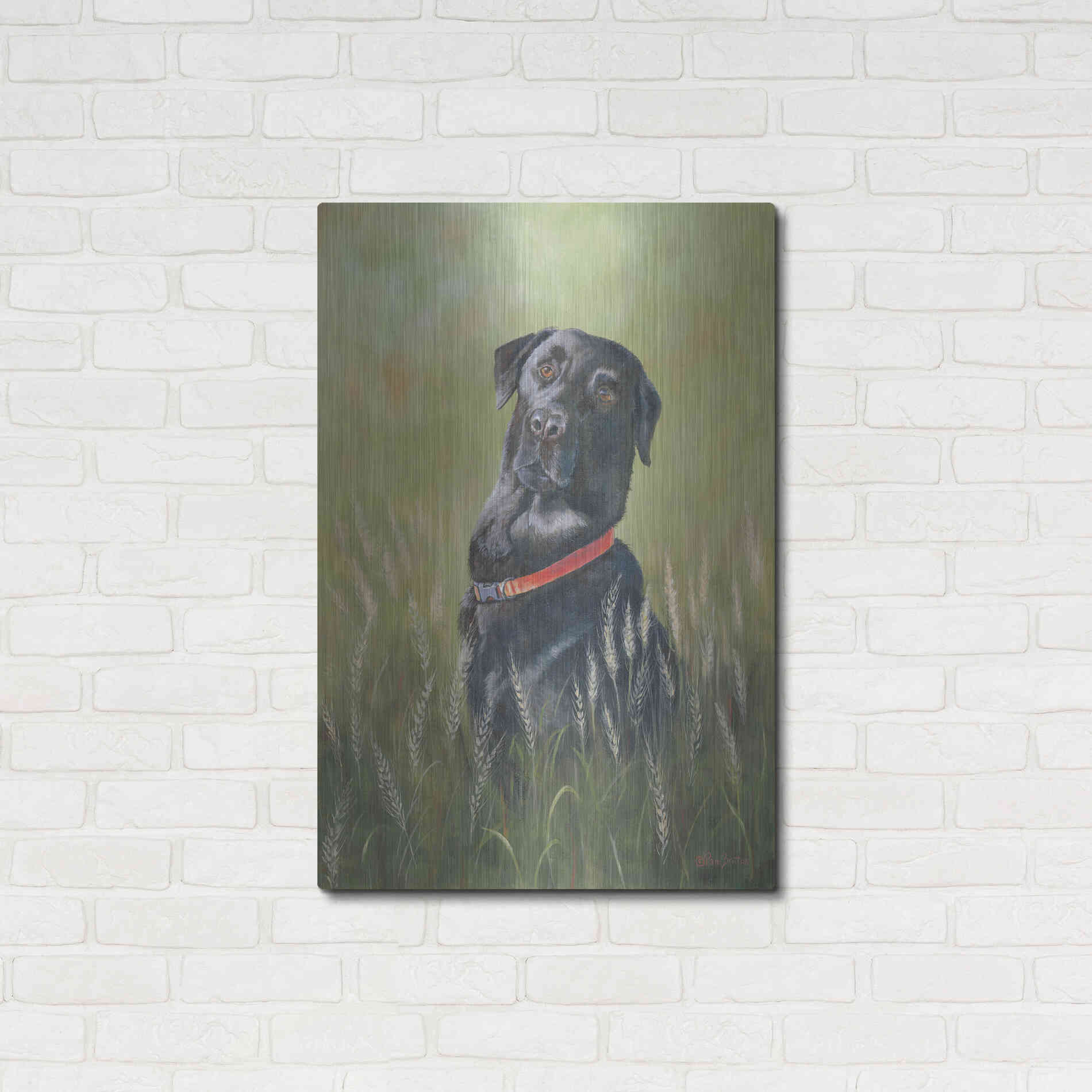 Luxe Metal Art 'Max' by Pam Britton, Metal Wall Art,24x36