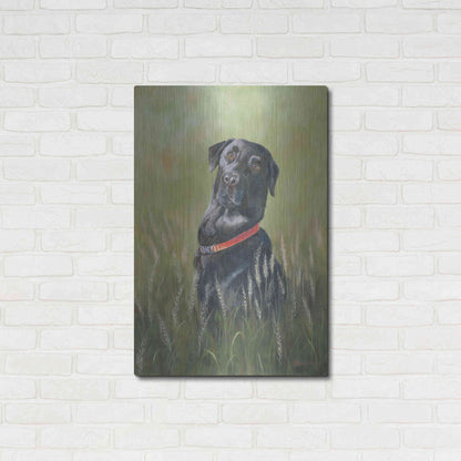 Luxe Metal Art 'Max' by Pam Britton, Metal Wall Art,24x36