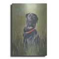 Luxe Metal Art 'Max' by Pam Britton, Metal Wall Art