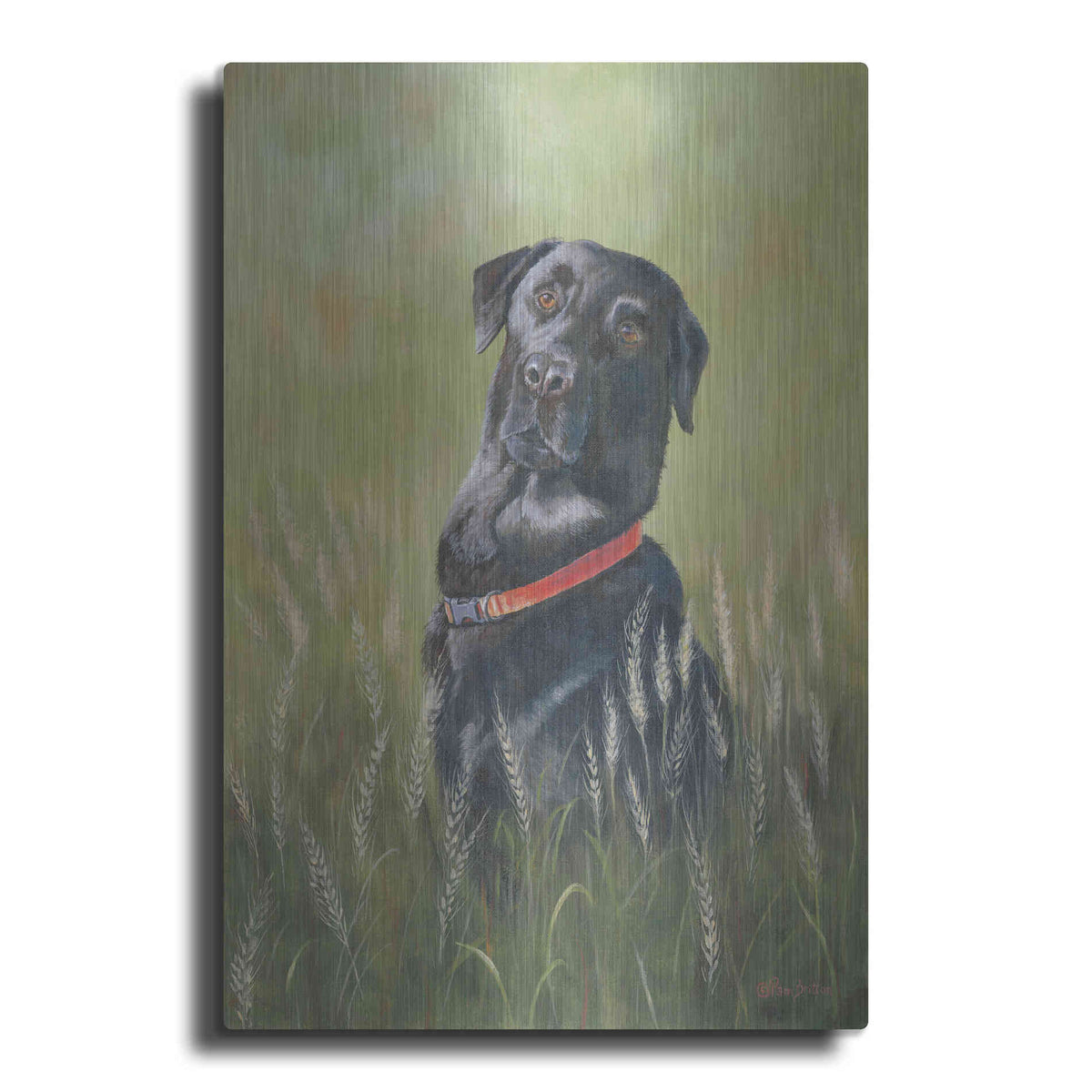Luxe Metal Art 'Max' by Pam Britton, Metal Wall Art