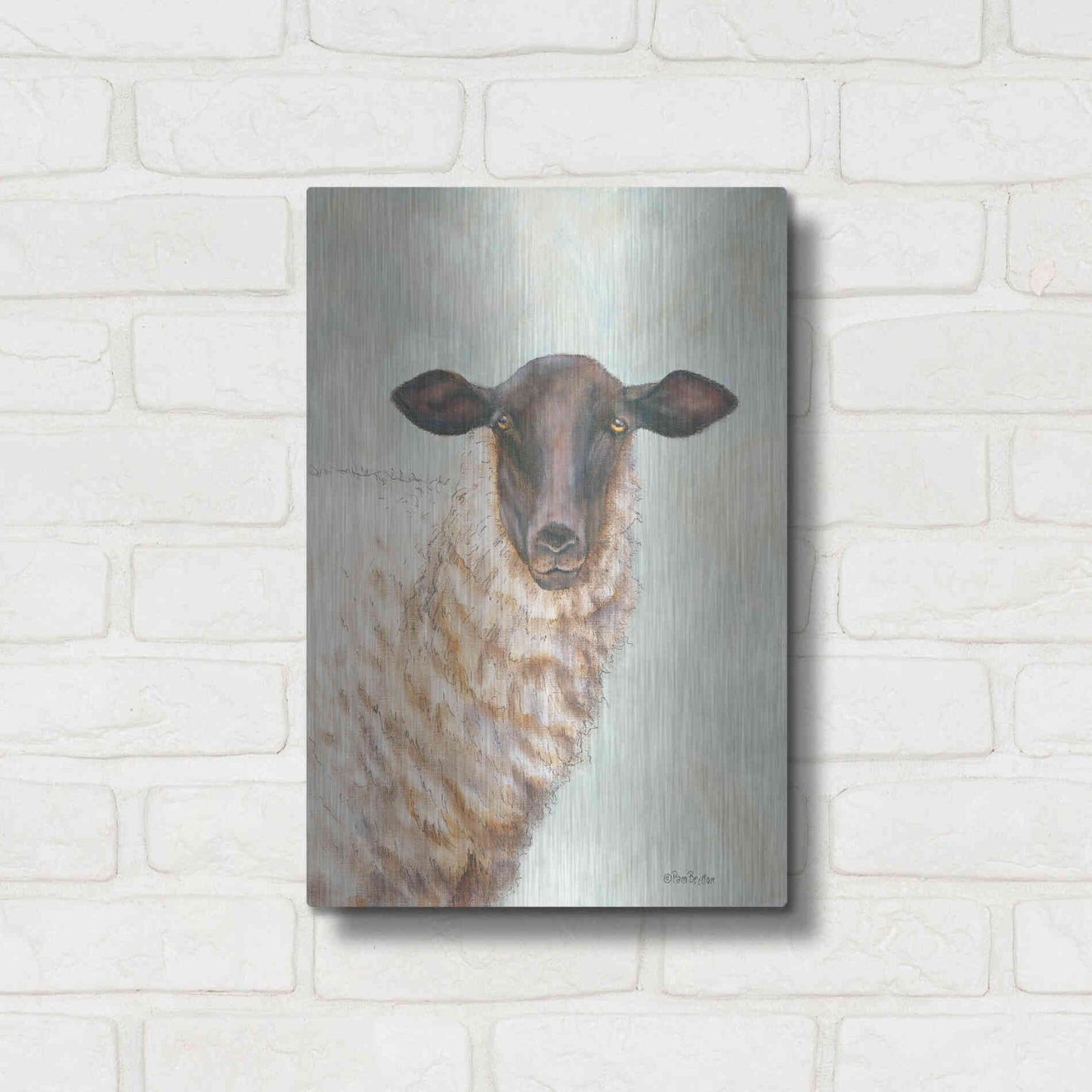 Luxe Metal Art 'Farm Sheep' by Pam Britton, Metal Wall Art,12x16