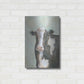 Luxe Metal Art 'Farm Cow' by Pam Britton, Metal Wall Art,16x24