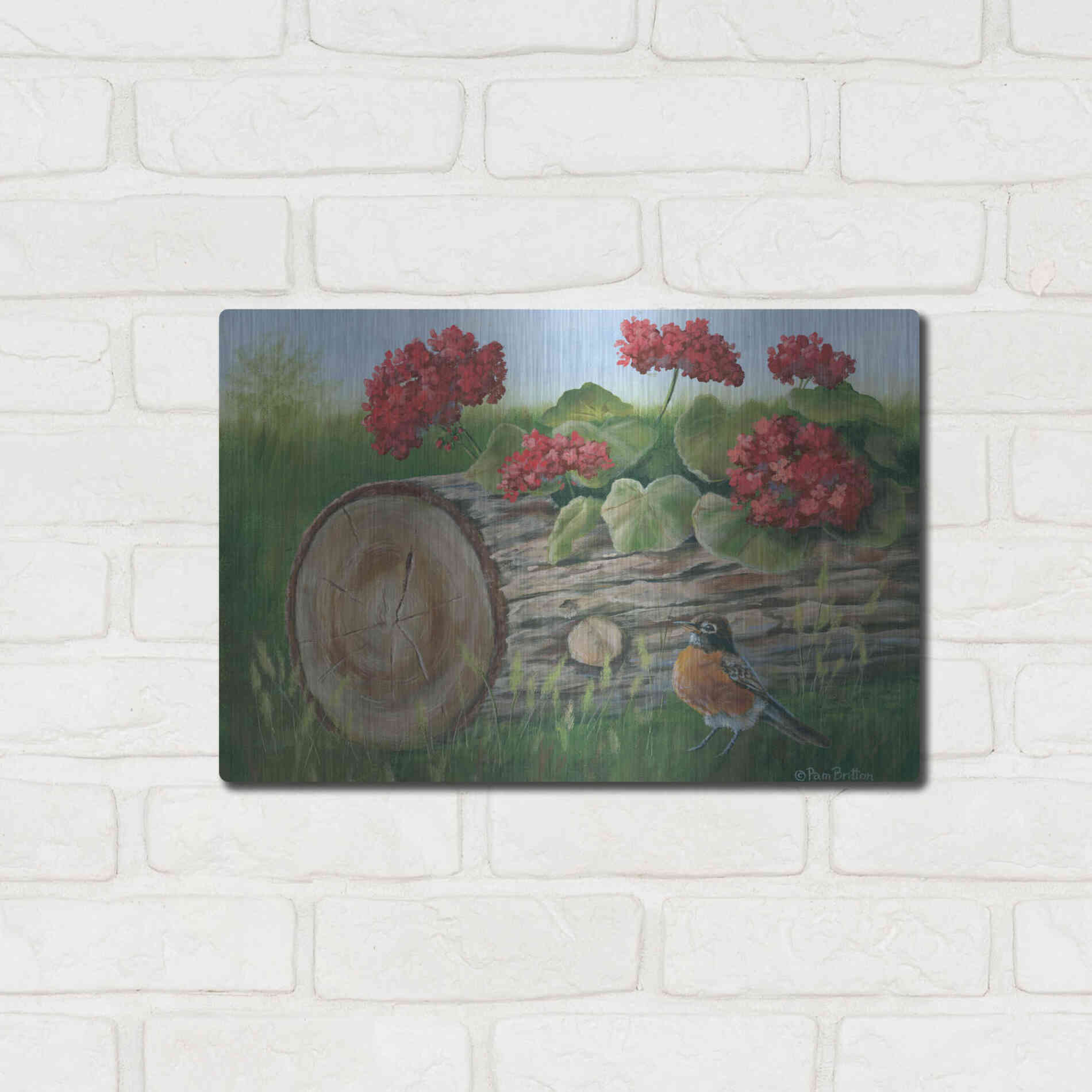 Luxe Metal Art 'Robin & Germaniums' by Pam Britton, Metal Wall Art,16x12