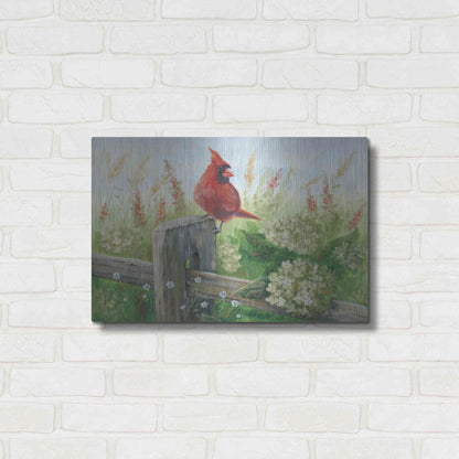 Luxe Metal Art 'Cardinal on Fence' by Pam Britton, Metal Wall Art,24x16