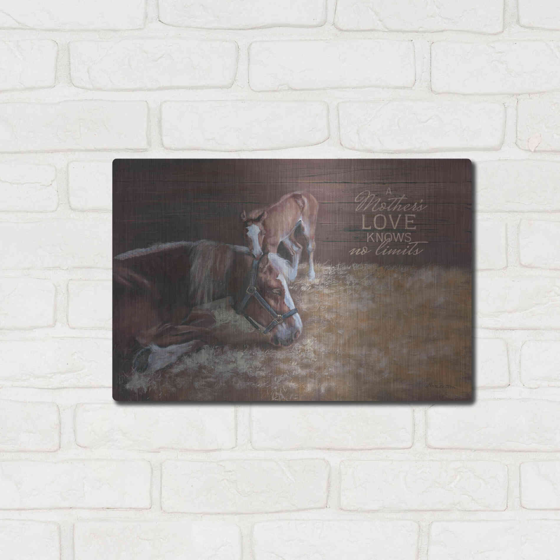 Luxe Metal Art 'A Mother's Love' by Pam Britton, Metal Wall Art,16x12