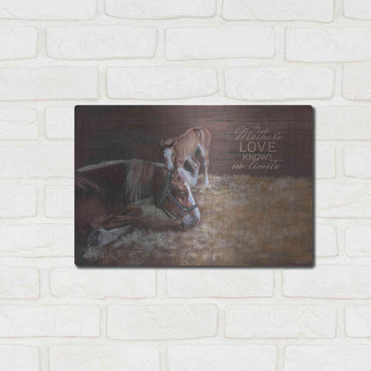 Luxe Metal Art 'A Mother's Love' by Pam Britton, Metal Wall Art,16x12