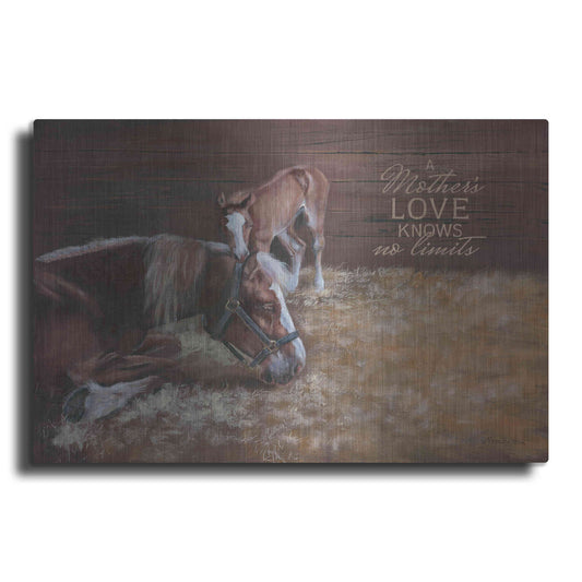Luxe Metal Art 'A Mother's Love' by Pam Britton, Metal Wall Art