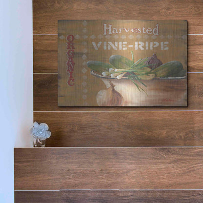 Luxe Metal Art 'Vine Ripe' by Pam Britton, Metal Wall Art,16x12