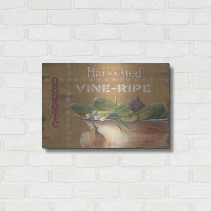 Luxe Metal Art 'Vine Ripe' by Pam Britton, Metal Wall Art,24x16