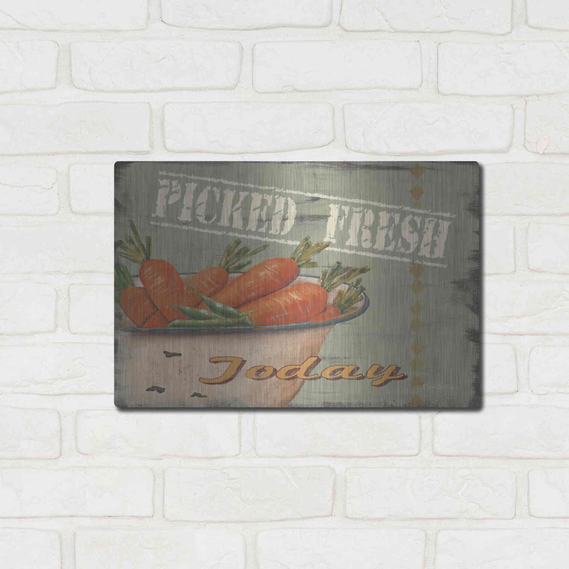 Luxe Metal Art 'Picked Fresh' by Pam Britton, Metal Wall Art,16x12