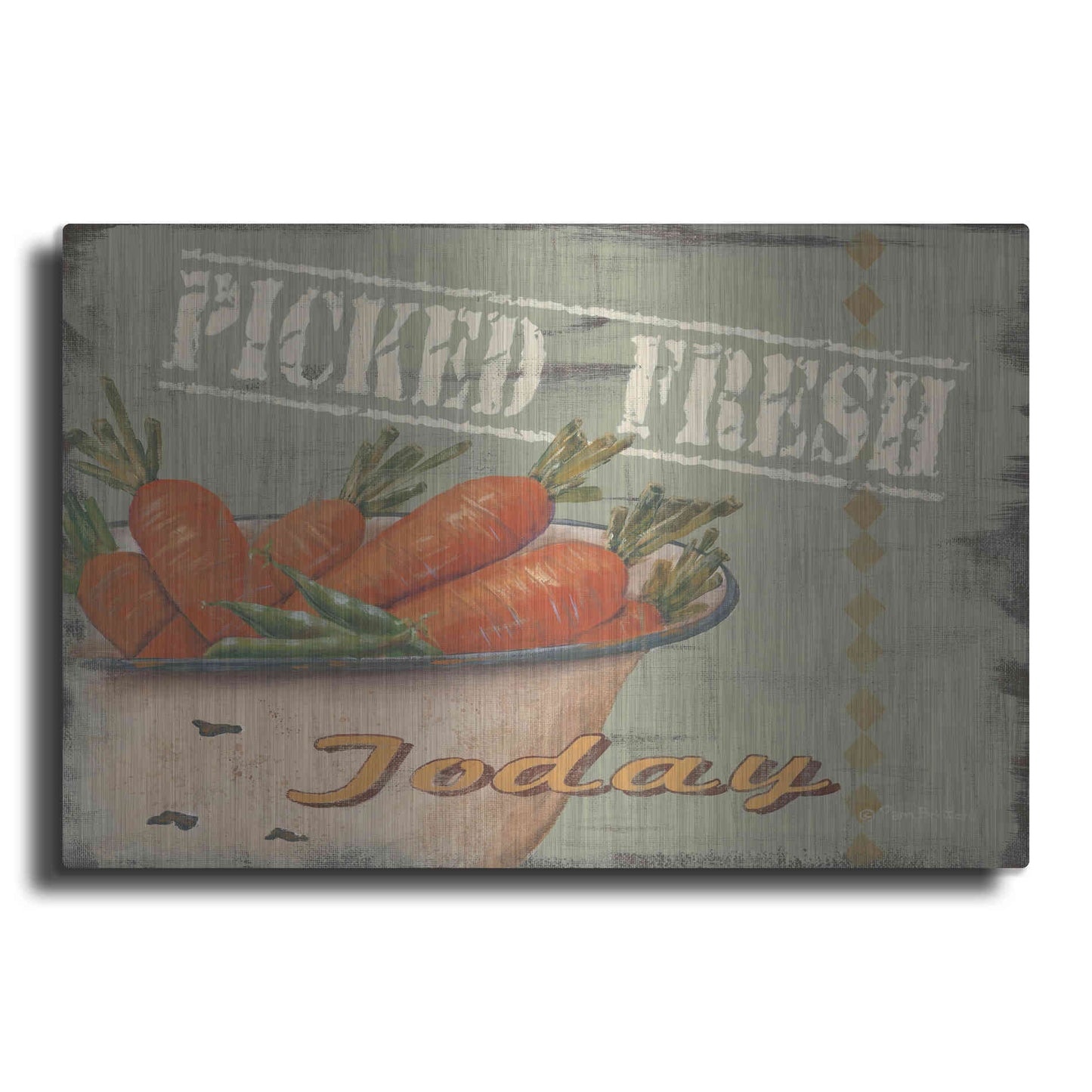 Luxe Metal Art 'Picked Fresh' by Pam Britton, Metal Wall Art