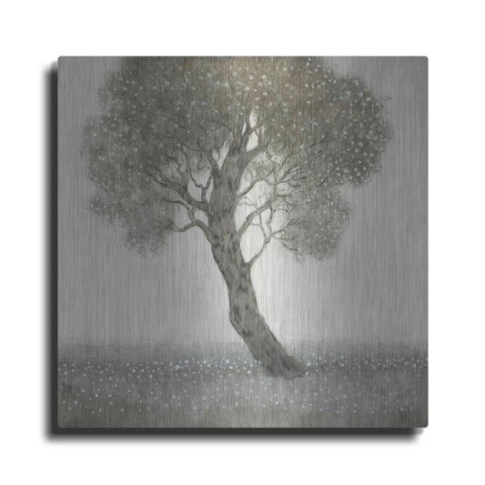 Luxe Metal Art 'White Blossom Tree' by Tim O'Toole, Metal Wall Art