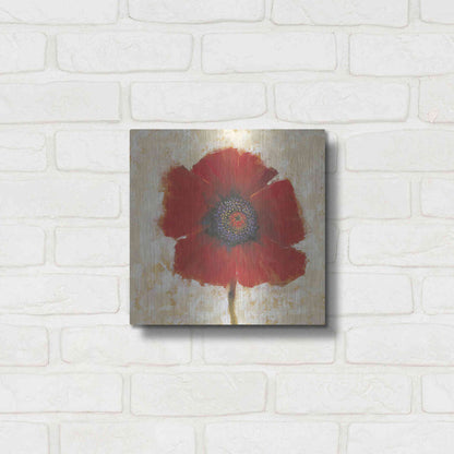 Luxe Metal Art 'Red Poppy Portrait II' by Tim O'Toole, Metal Wall Art,12x12