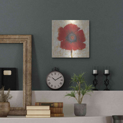 Luxe Metal Art 'Red Poppy Portrait II' by Tim O'Toole, Metal Wall Art,12x12