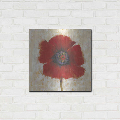 Luxe Metal Art 'Red Poppy Portrait II' by Tim O'Toole, Metal Wall Art,24x24