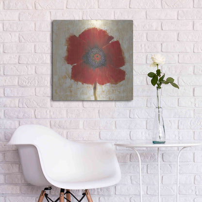 Luxe Metal Art 'Red Poppy Portrait II' by Tim O'Toole, Metal Wall Art,24x24