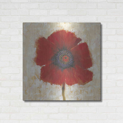 Luxe Metal Art 'Red Poppy Portrait II' by Tim O'Toole, Metal Wall Art,36x36