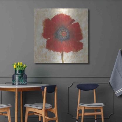 Luxe Metal Art 'Red Poppy Portrait II' by Tim O'Toole, Metal Wall Art,36x36