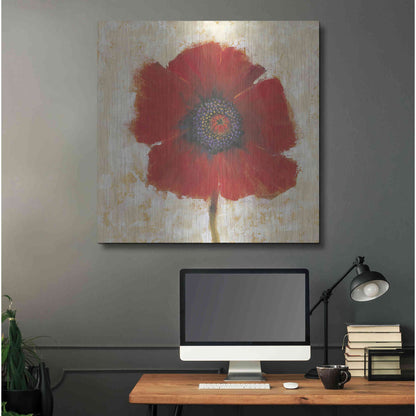 Luxe Metal Art 'Red Poppy Portrait II' by Tim O'Toole, Metal Wall Art,36x36