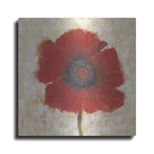 Luxe Metal Art 'Red Poppy Portrait II' by Tim O'Toole, Metal Wall Art