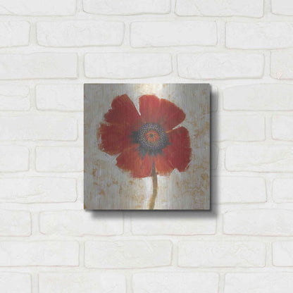 Luxe Metal Art 'Red Poppy Portrait I' by Tim O'Toole, Metal Wall Art,12x12