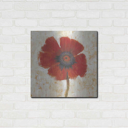 Luxe Metal Art 'Red Poppy Portrait I' by Tim O'Toole, Metal Wall Art,24x24