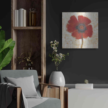 Luxe Metal Art 'Red Poppy Portrait I' by Tim O'Toole, Metal Wall Art,24x24