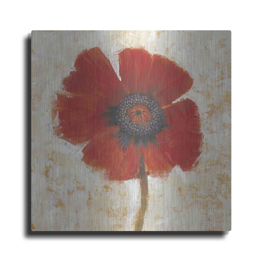 Luxe Metal Art 'Red Poppy Portrait I' by Tim O'Toole, Metal Wall Art