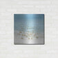 Luxe Metal Art 'Ocean Swim II' by Tim O'Toole, Metal Wall Art,24x24