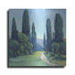 Luxe Metal Art 'Cypress Path II' by Tim O'Toole, Metal Wall Art