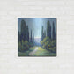 Luxe Metal Art 'Cypress Path I' by Tim O'Toole, Metal Wall Art,24x24