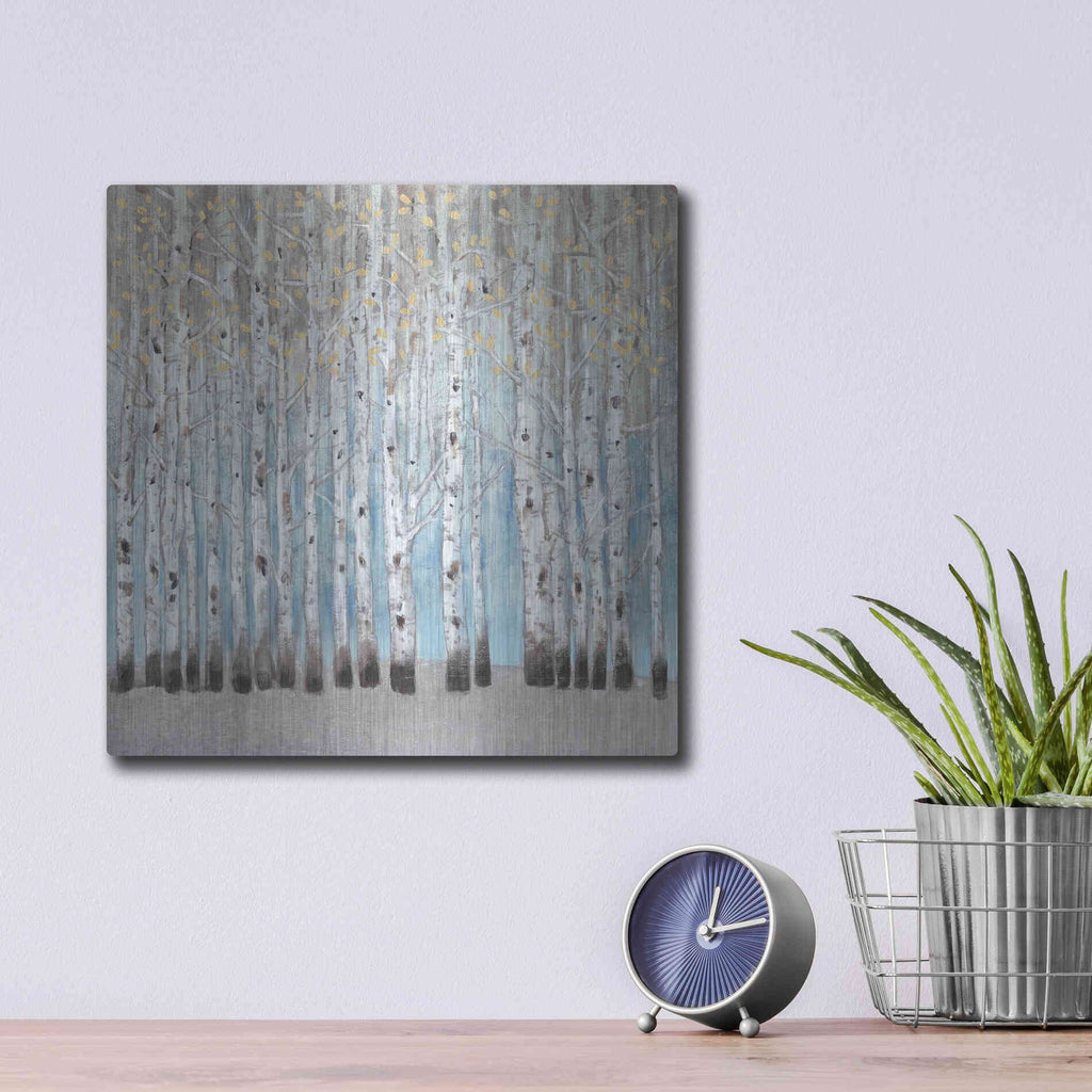 Luxe Metal Art 'Into the Forest I' by Tim O'Toole, Metal Wall Art,12x12