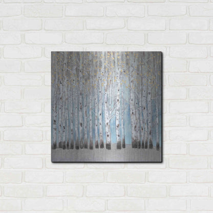 Luxe Metal Art 'Into the Forest I' by Tim O'Toole, Metal Wall Art,24x24