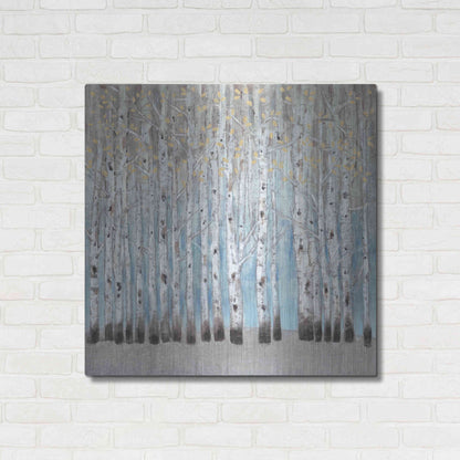 Luxe Metal Art 'Into the Forest I' by Tim O'Toole, Metal Wall Art,36x36