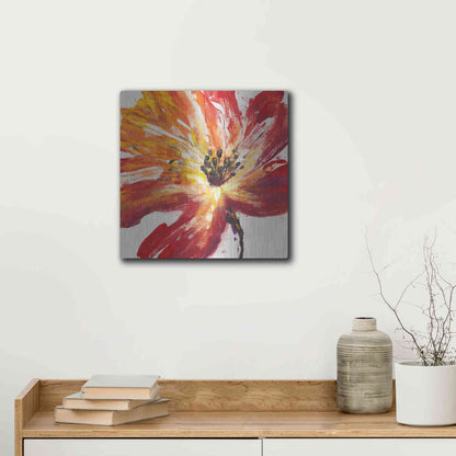 Luxe Metal Art 'Fleur Rouge II' by Tim O'Toole, Metal Wall Art,12x12