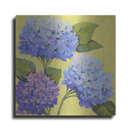 Luxe Metal Art 'Spring Hydrangeas II' by Tim O'Toole, Metal Wall Art
