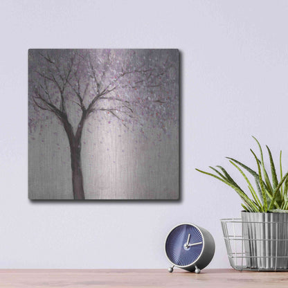 Luxe Metal Art 'Spring Blossom II' by Tim O'Toole, Metal Wall Art,12x12