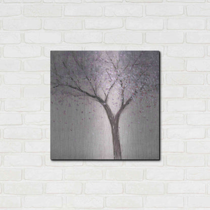 Luxe Metal Art 'Spring Blossom I' by Tim O'Toole, Metal Wall Art,24x24