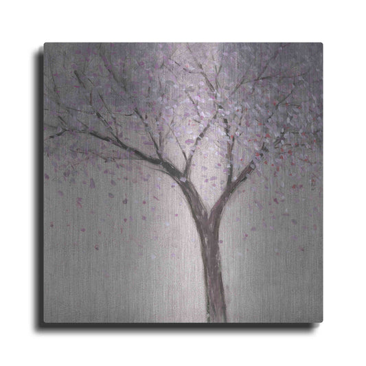 Luxe Metal Art 'Spring Blossom I' by Tim O'Toole, Metal Wall Art