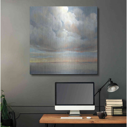 Luxe Metal Art 'Passing Storm I' by Tim O'Toole, Metal Wall Art,36x36