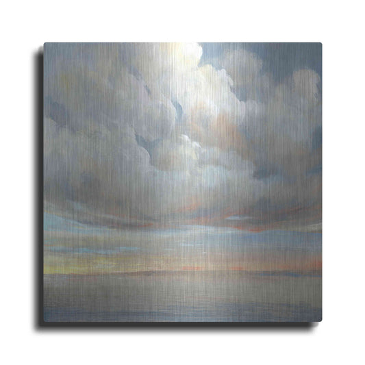 Luxe Metal Art 'Passing Storm I' by Tim O'Toole, Metal Wall Art