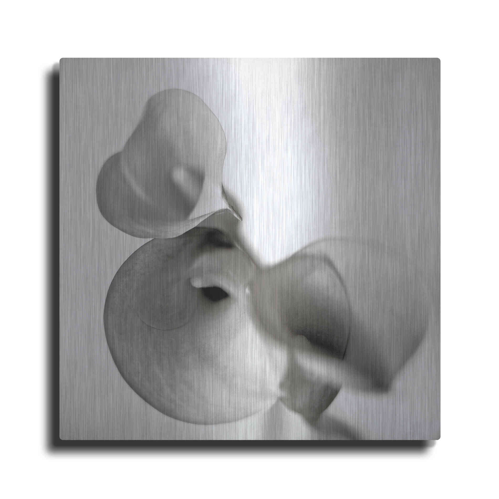 Luxe Metal Art 'Florison 59' by Alan Blaustein Metal Wall Art