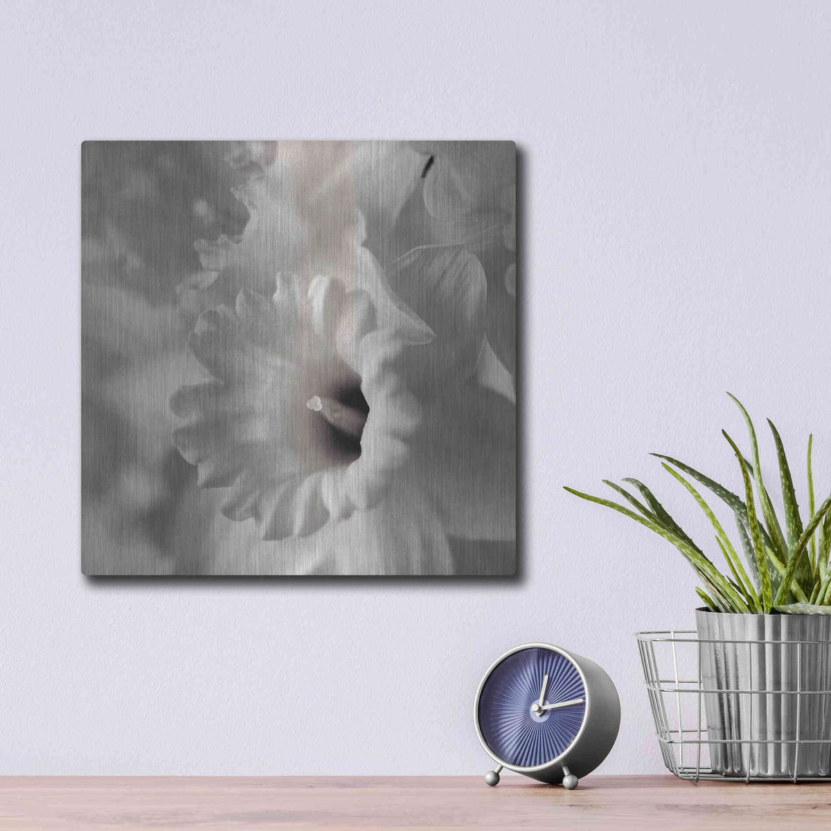 Luxe Metal Art 'Florison 45' by Alan Blaustein Metal Wall Art,12x12